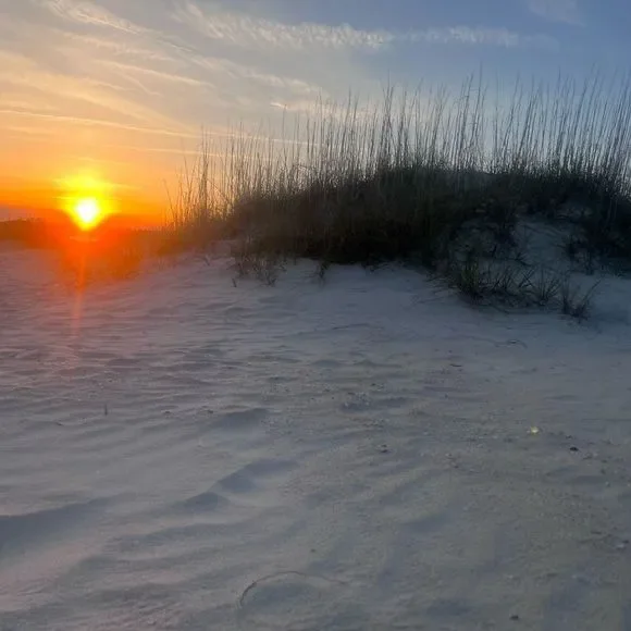 ❤️❤️❤️Come Shop With Me❤️❤️❤️ Like this listing to be notified when I gо LIVE!!! - Picture 4 of 10